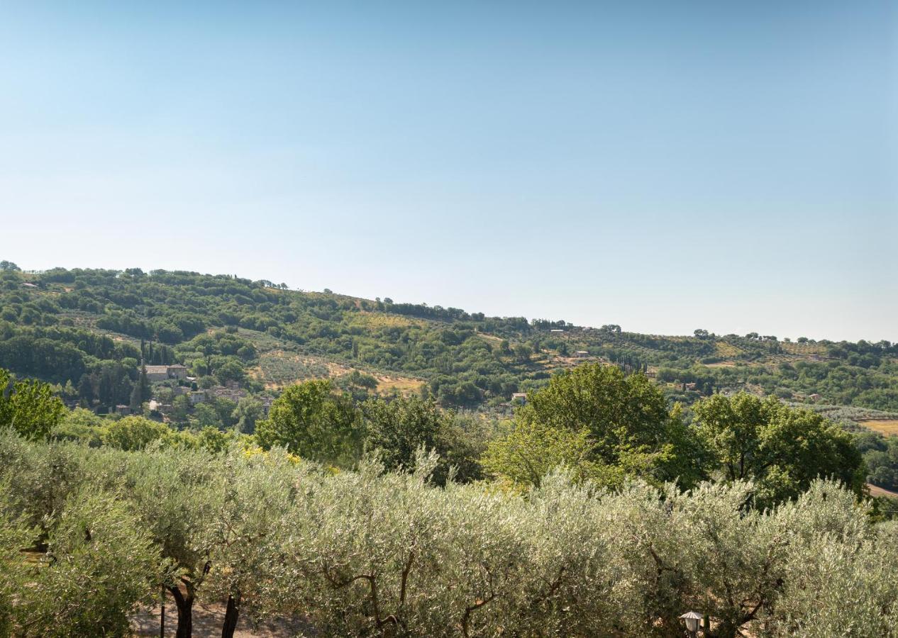 Agriturismo La Rocca Assisi ペトリニャーノ エクステリア 写真
