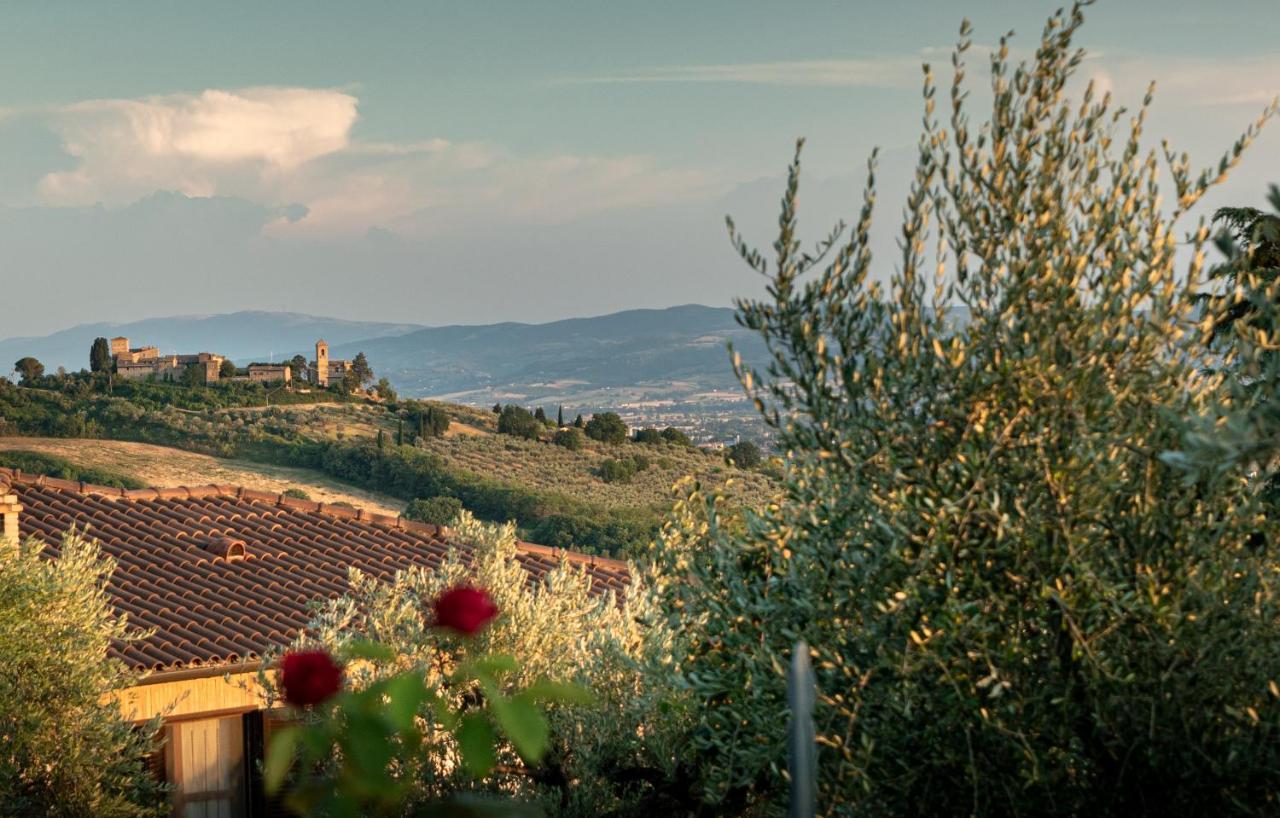 Agriturismo La Rocca Assisi ペトリニャーノ エクステリア 写真