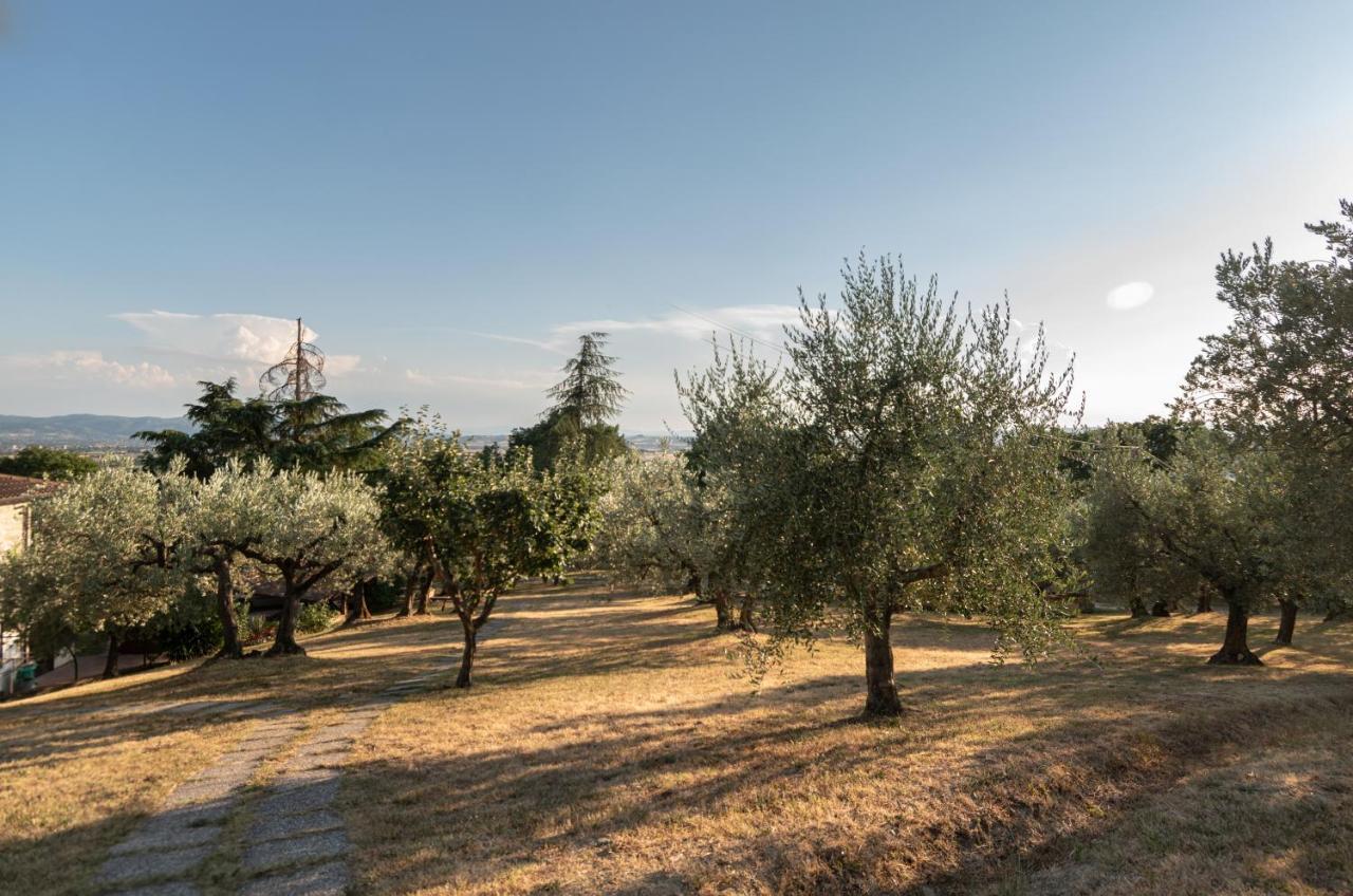 Agriturismo La Rocca Assisi ペトリニャーノ エクステリア 写真