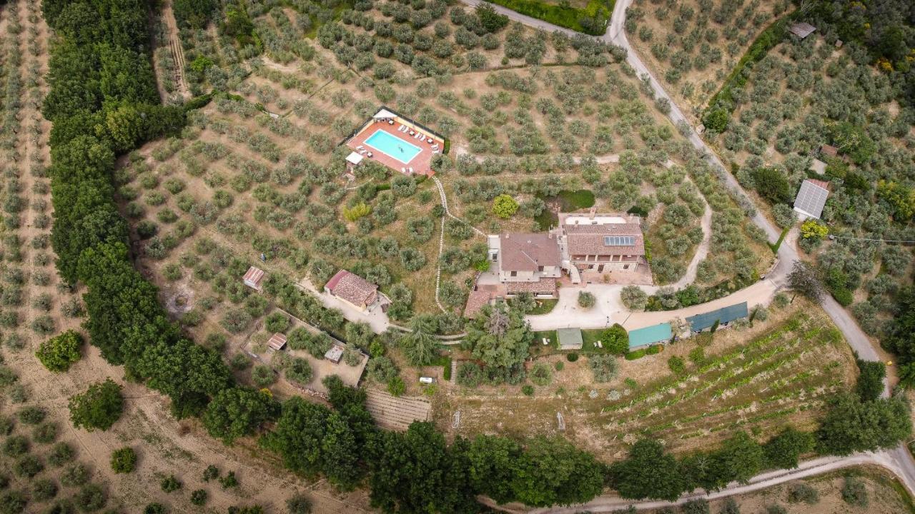 Agriturismo La Rocca Assisi ペトリニャーノ エクステリア 写真