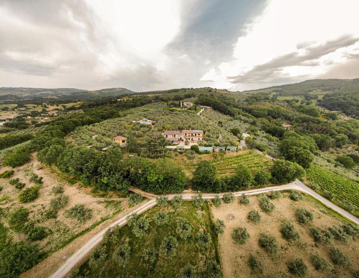 Agriturismo La Rocca Assisi ペトリニャーノ エクステリア 写真