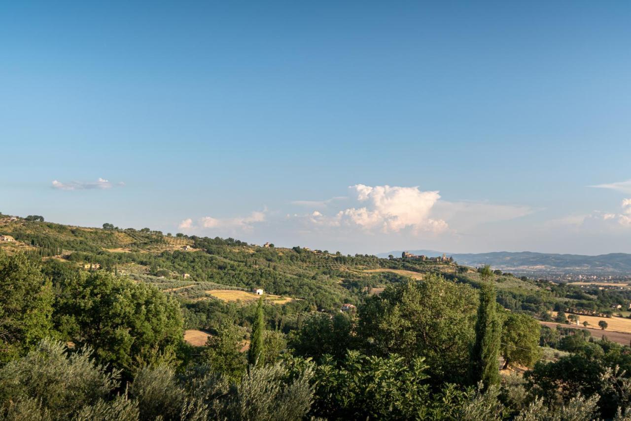 Agriturismo La Rocca Assisi ペトリニャーノ エクステリア 写真